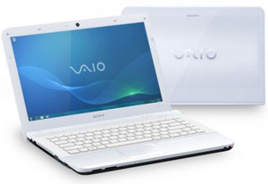 Sony VAIO VPCEA Laptop Repair