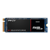 PNY CS2030 Series SSD Data Recovery