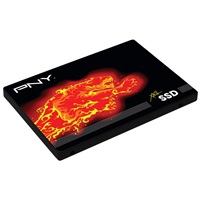 PNY CS2100 Series SSD Data Recovery