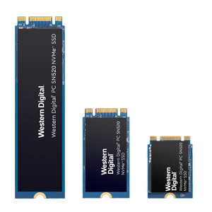 Western Digital SN520 NVMe SSD Recovery